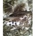 Куртка Cosmo-tex Трансформер детский FL1123-5 122