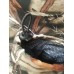Брюки Cosmo-tex Рыбачок YL-036 детский