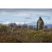 Куртка Harkila Grit reversible optifade/hunting green