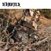 Ботинки Harkila Lynx GTX 9 Mossy Oak break up