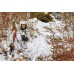 Куртка Seeland Polar realtree APS